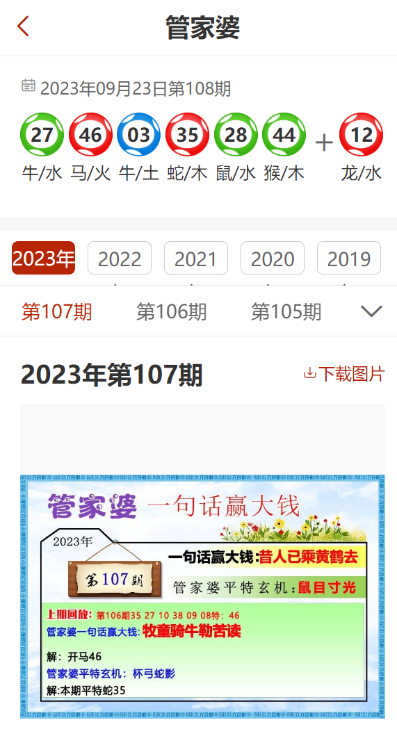 2024年11月17日 第29页